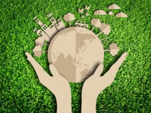 importância do artesanato para a sustentabilidade